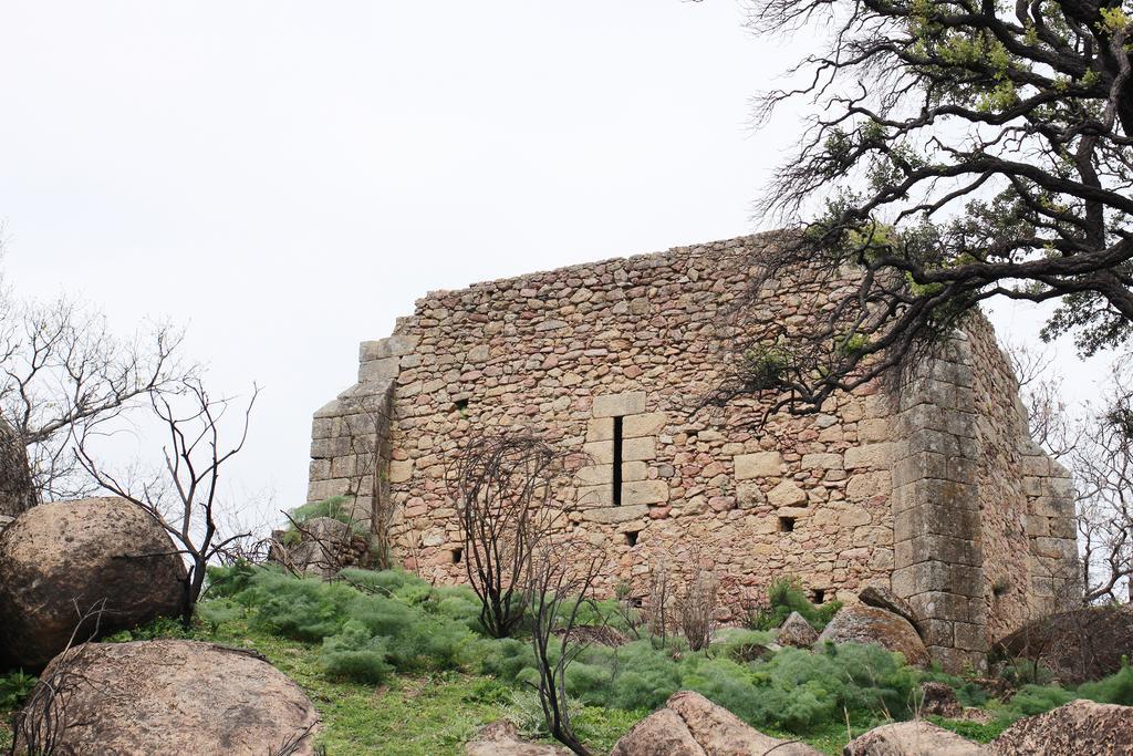 La Grulla Dorada ξενώνας Perales del Puerto Εξωτερικό φωτογραφία