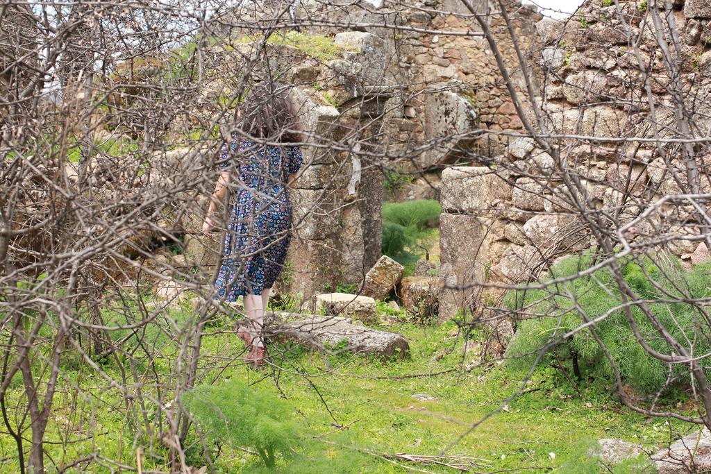 La Grulla Dorada ξενώνας Perales del Puerto Εξωτερικό φωτογραφία